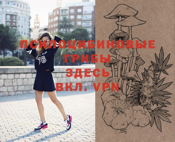 прущие грибы Киров
