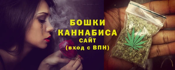 мдпв Каменка