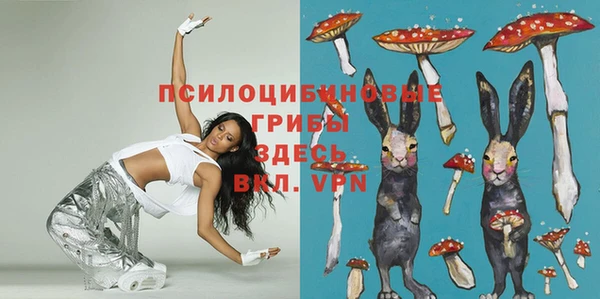 прущие грибы Киров